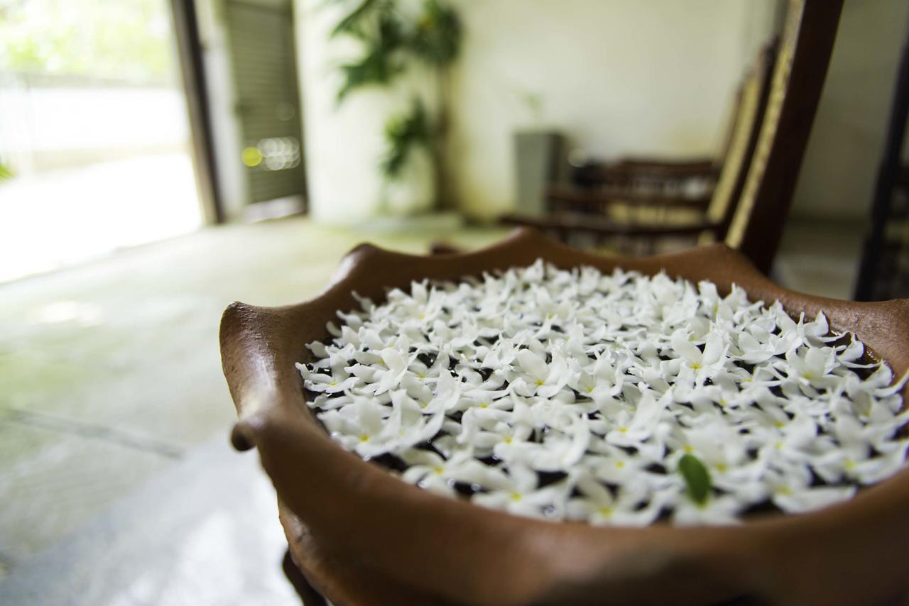 Hotel Sunshine Colombo Kültér fotó